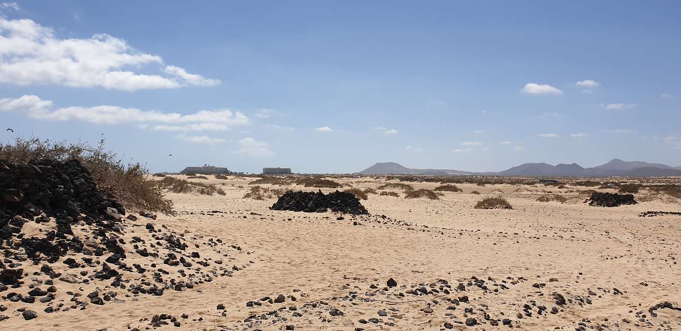 FUE 4 20210317_133239.jpg